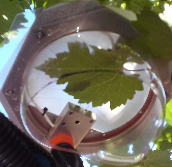 LeafMon leaf monitor