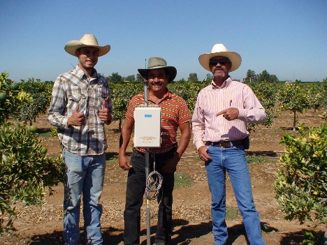 Citrus Orchard installation